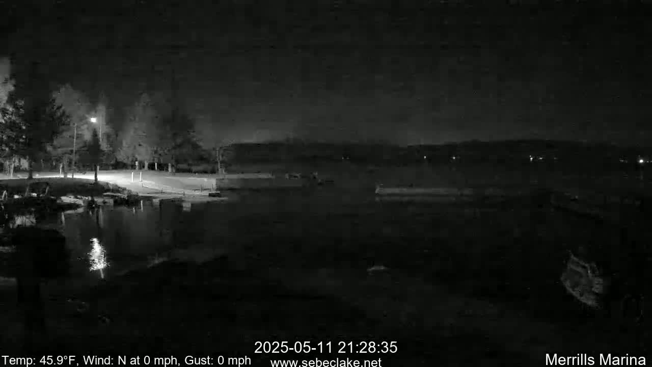 A nighttime view of a calm body of water with a shoreline featuring trees and a paved area under a clear, dark sky.
