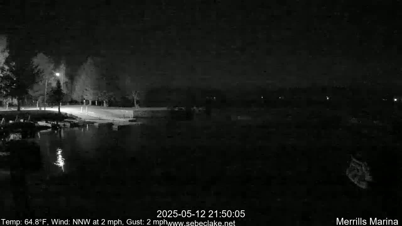 A nighttime view of a dark, calm body of water next to a tree-lined shore under a clear sky.