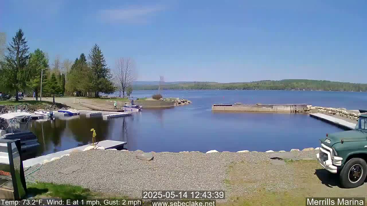 A sunny day at a marina shows several boats docked, with calm water reflecting the clear sky and surrounding trees.