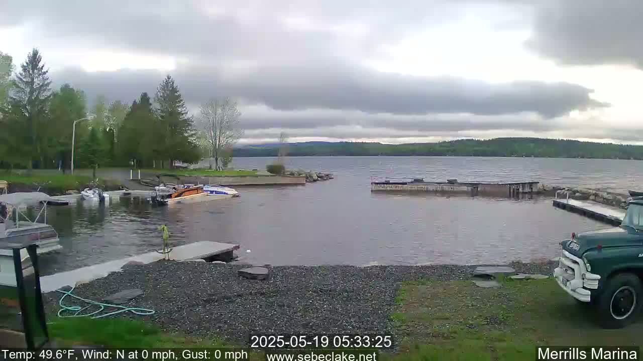 Several boats are docked at a marina on a calm lake under an overcast sky.