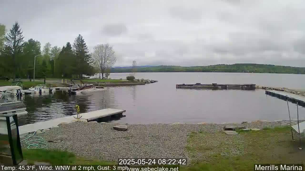 A calm lake with several boats docked at a marina under an overcast sky.
