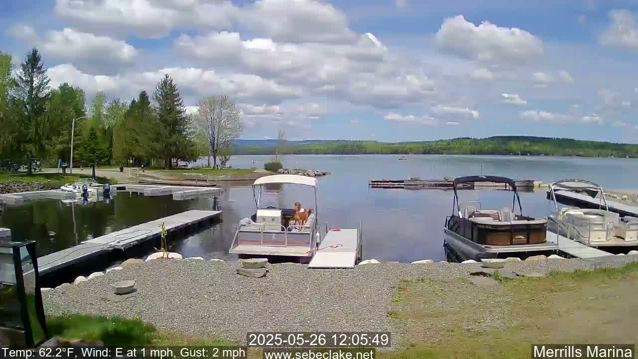 A sunny day with a light east wind shows several pontoon boats docked at a marina on a calm lake, surrounded by green trees and a hilly background.