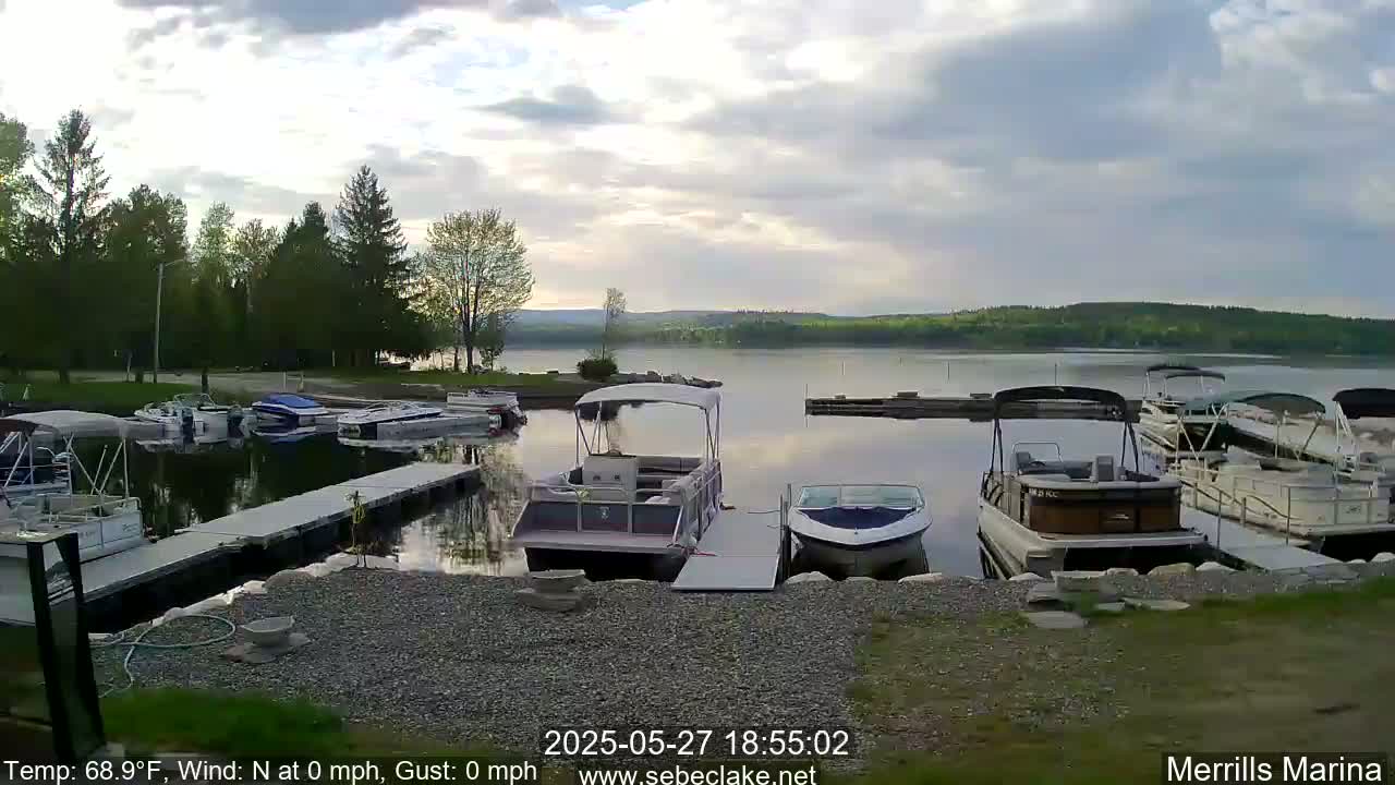 Several pontoon boats and other motorboats are docked at a marina on a calm lake under a partly cloudy sky.