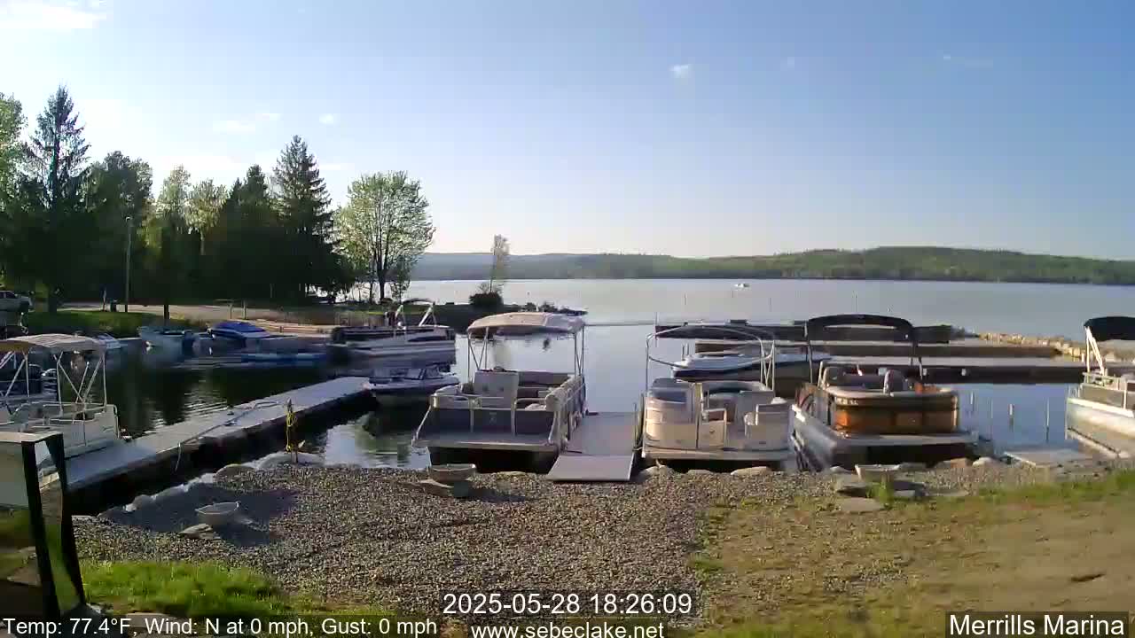 Several pontoon boats are docked at a marina on a calm, sunny day next to a lake surrounded by green trees.