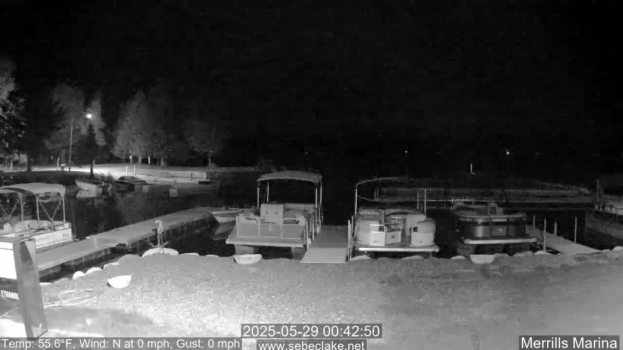 Several pontoon boats are docked at a marina at night under calm, clear skies.