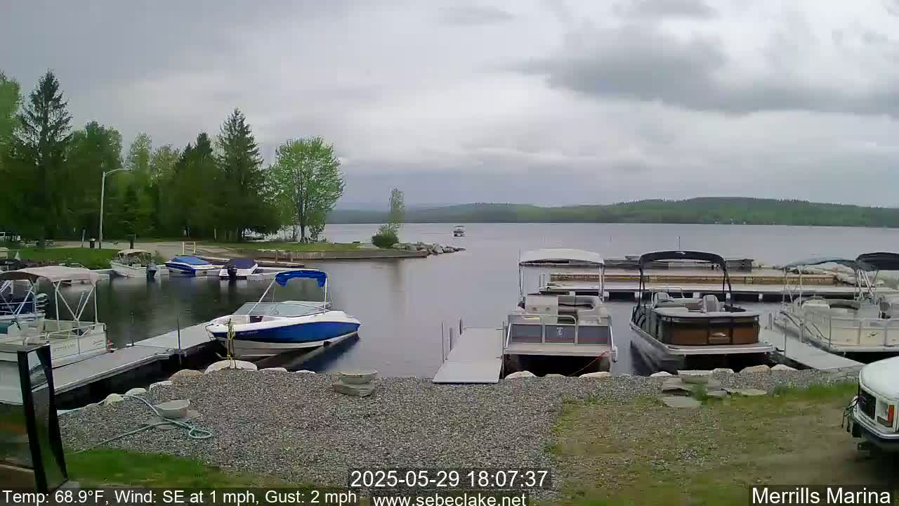 Several boats are docked at a marina on a lake under a cloudy sky.
