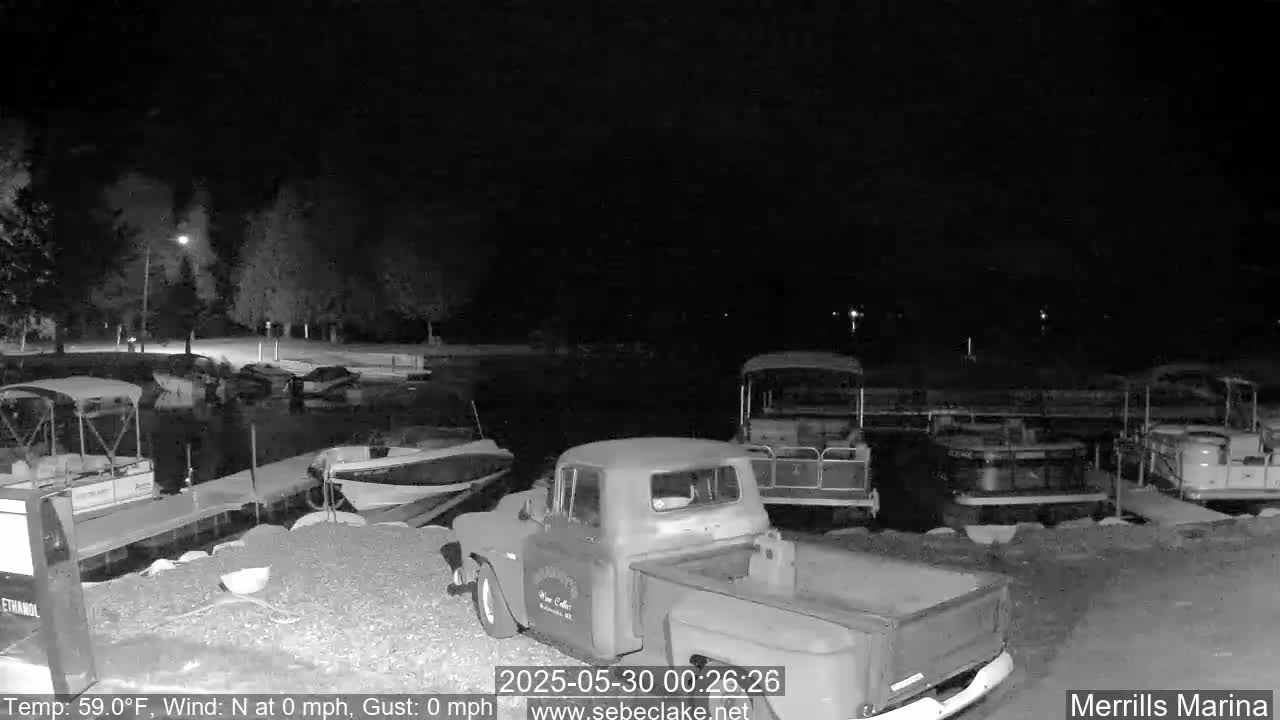 A nighttime, black-and-white image shows a pickup truck parked near a dock with several boats and pontoon boats at a marina under a clear, dark sky.