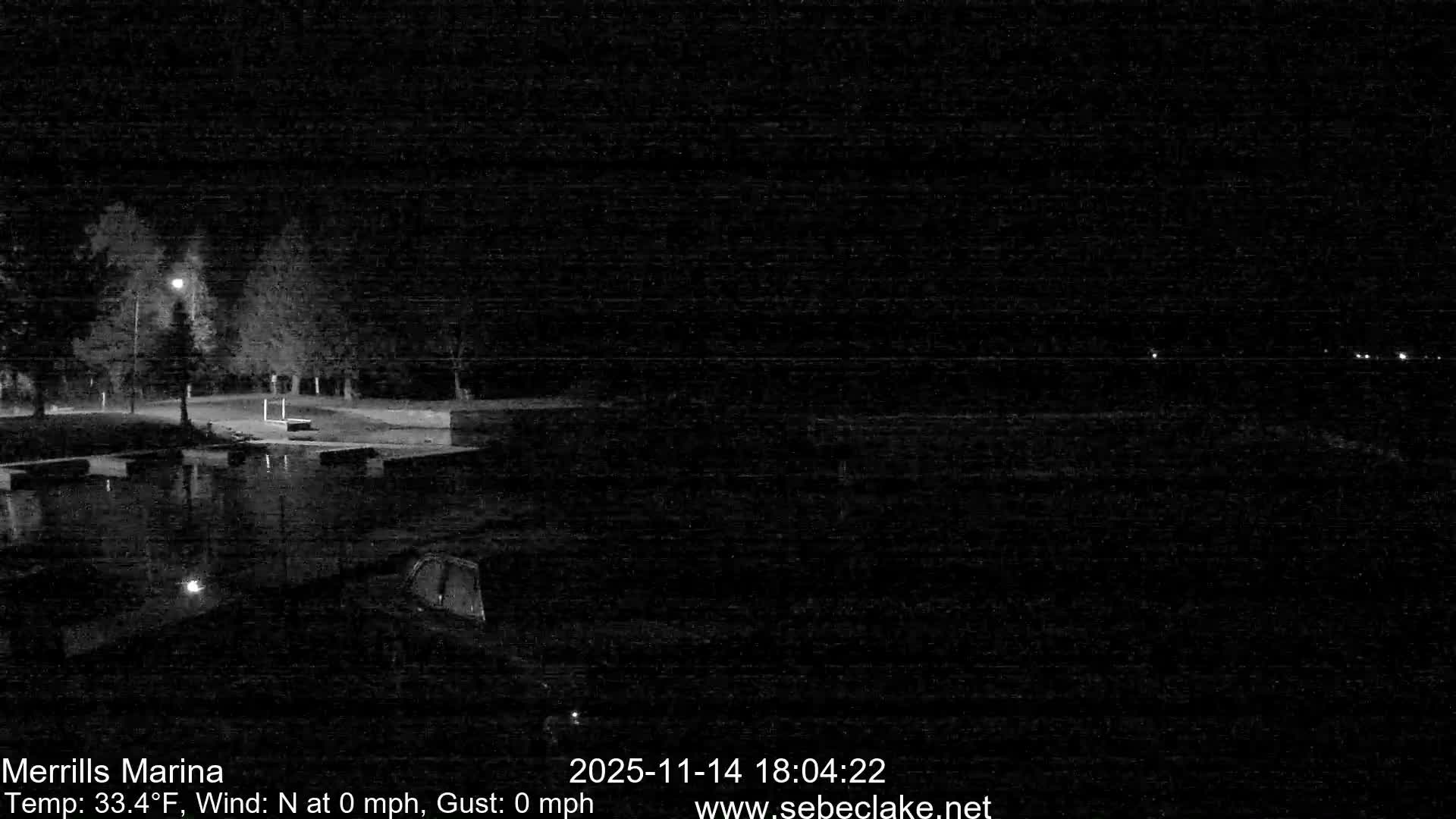 A clear and calm night captures a marina with a bright streetlight illuminating trees and docks next to still water, reflecting the light, as several faint lights twinkle in the dark distance across the water.