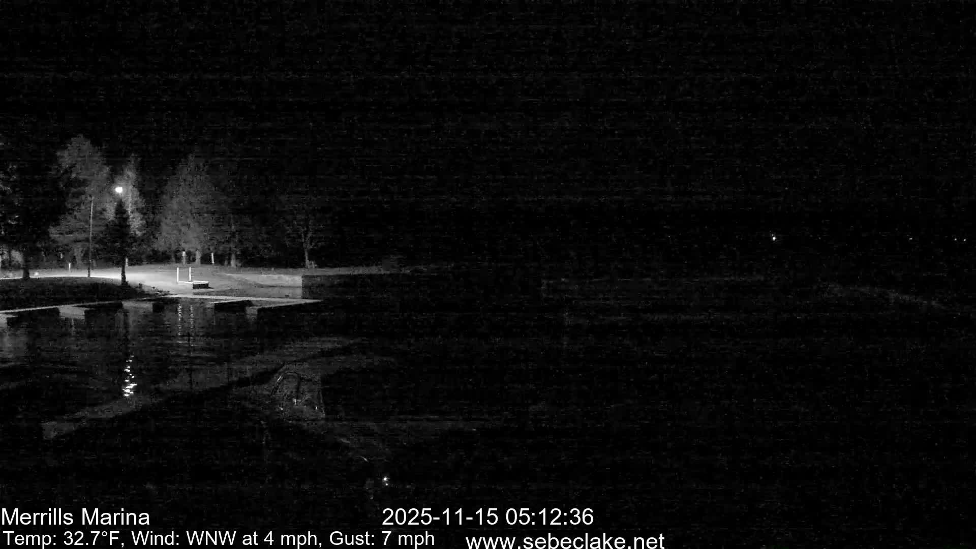 A serene night view of a marina or dockside, illuminated by a single streetlamp reflecting on the calm water, with a dark treeline in the background under a clear sky.