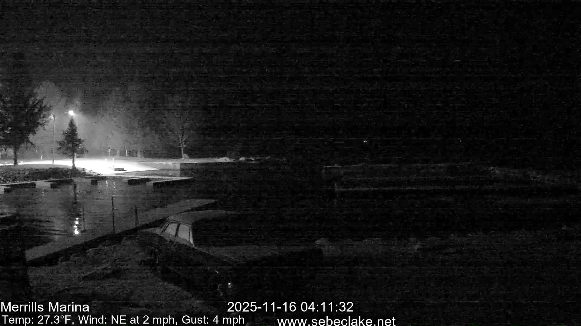 A dark, monochrome image captures a wet marina or waterfront at night, with a prominent street light illuminating falling precipitation or mist, creating reflections on the ground, water between boat slips, and a partially visible car in the foreground.