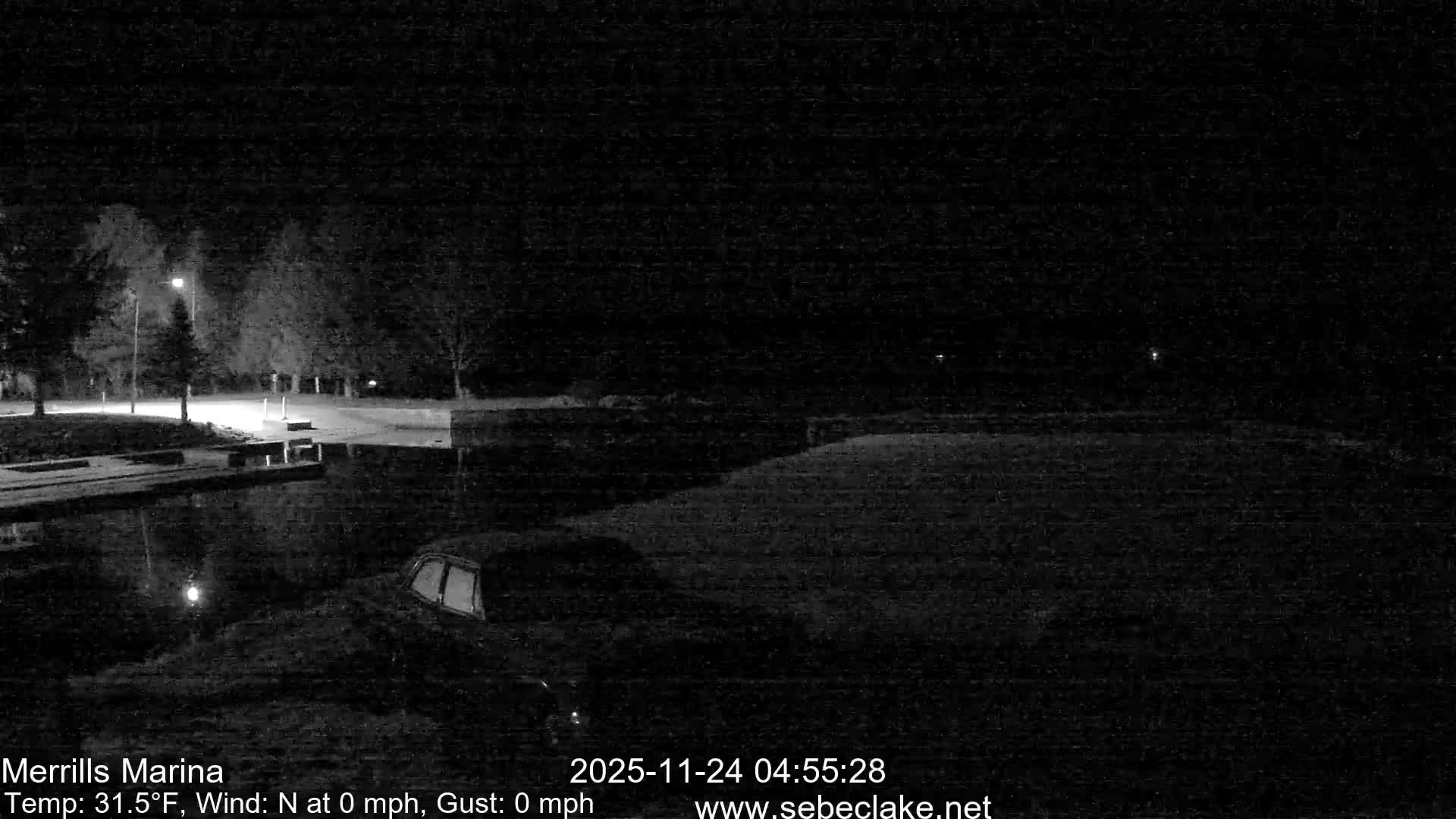 A very dark and grainy nighttime image depicts a marina with docks, a dark vehicle near the water's edge, and illuminated trees and a road in the background under clear skies.