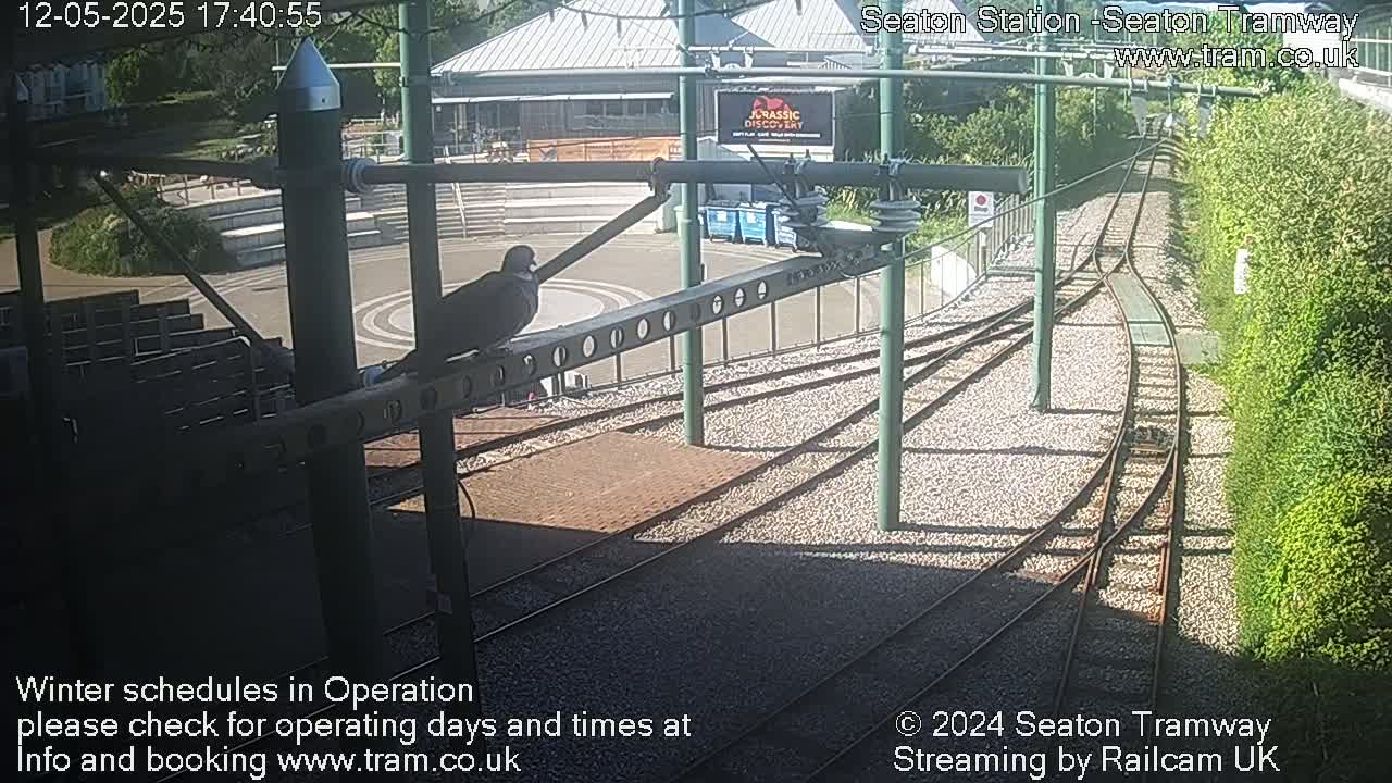 A bird perches on a metal structure overlooking train tracks on a sunny day.