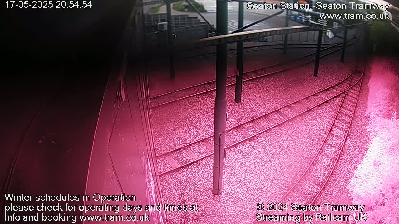 A nighttime, low-angle view of train tracks curving to the right,  surrounded by dark-colored ground cover.