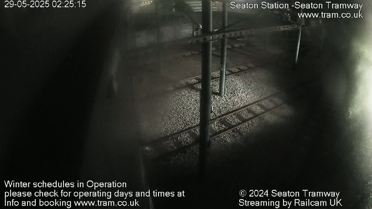 A high-angle, nighttime view of train tracks and supporting infrastructure.