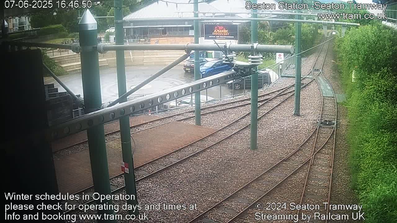 A wet tram station with several sets of tracks curving away from the camera, surrounded by green shrubbery and parked cars.