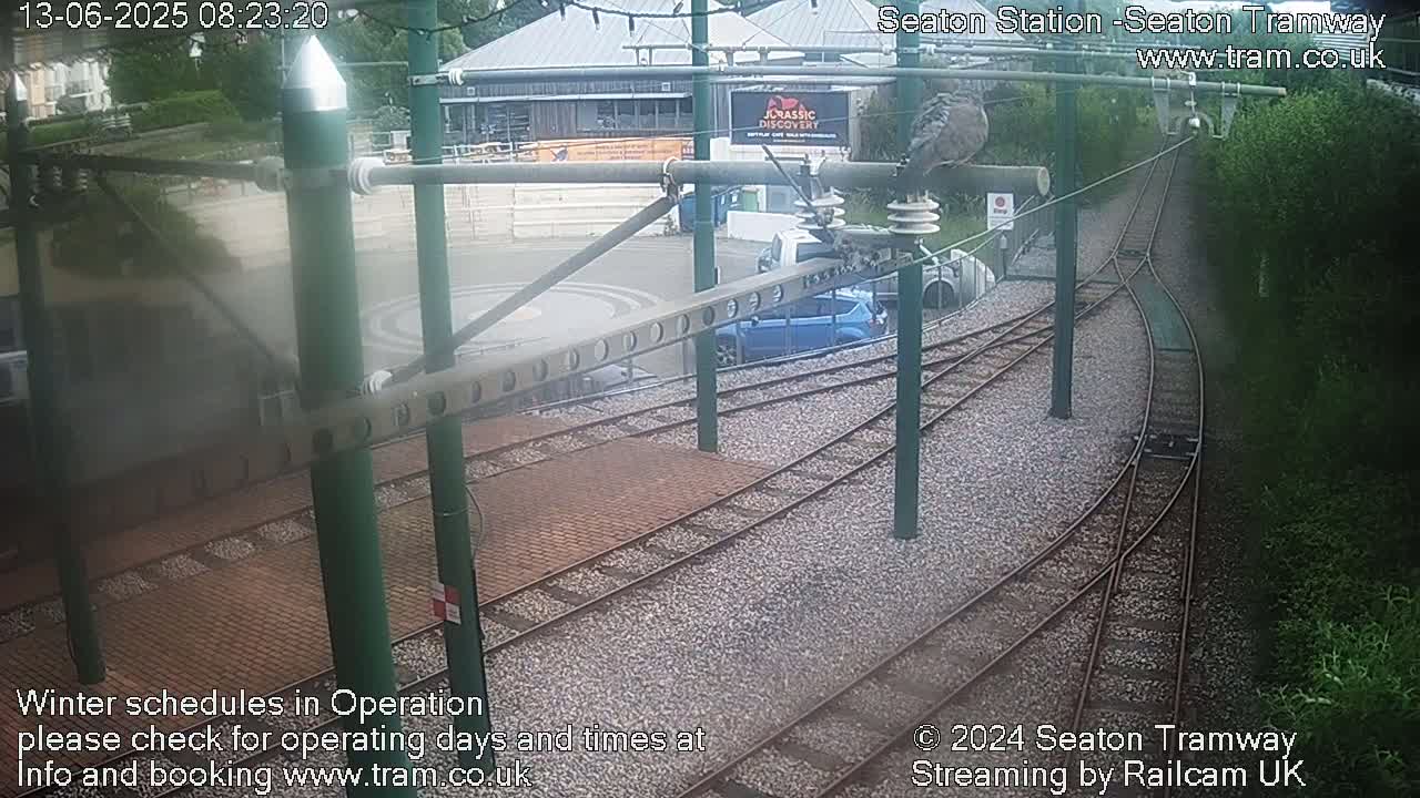 Tram tracks curve through a station area, with a car and a bird perched on overhead wires; the weather appears overcast.