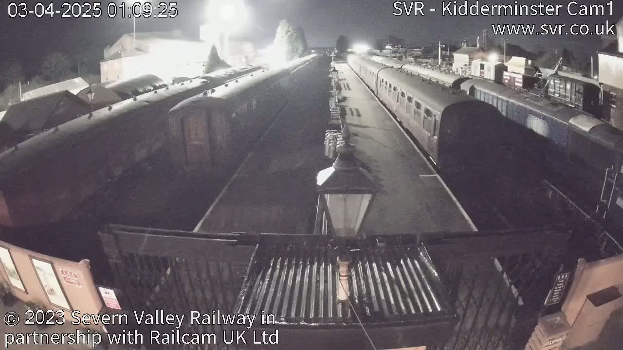 At night, several dark train cars are parked at a station platform under artificial light.