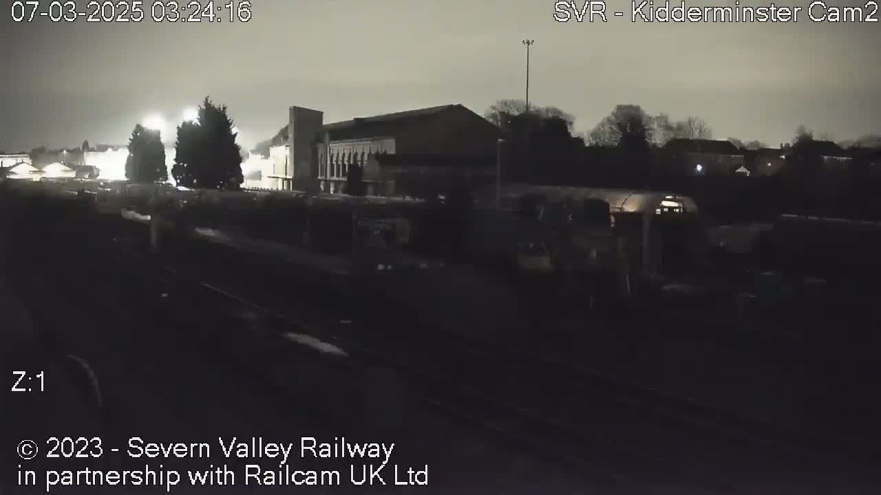 At night, a train sits in a dimly lit station near some buildings and trees.