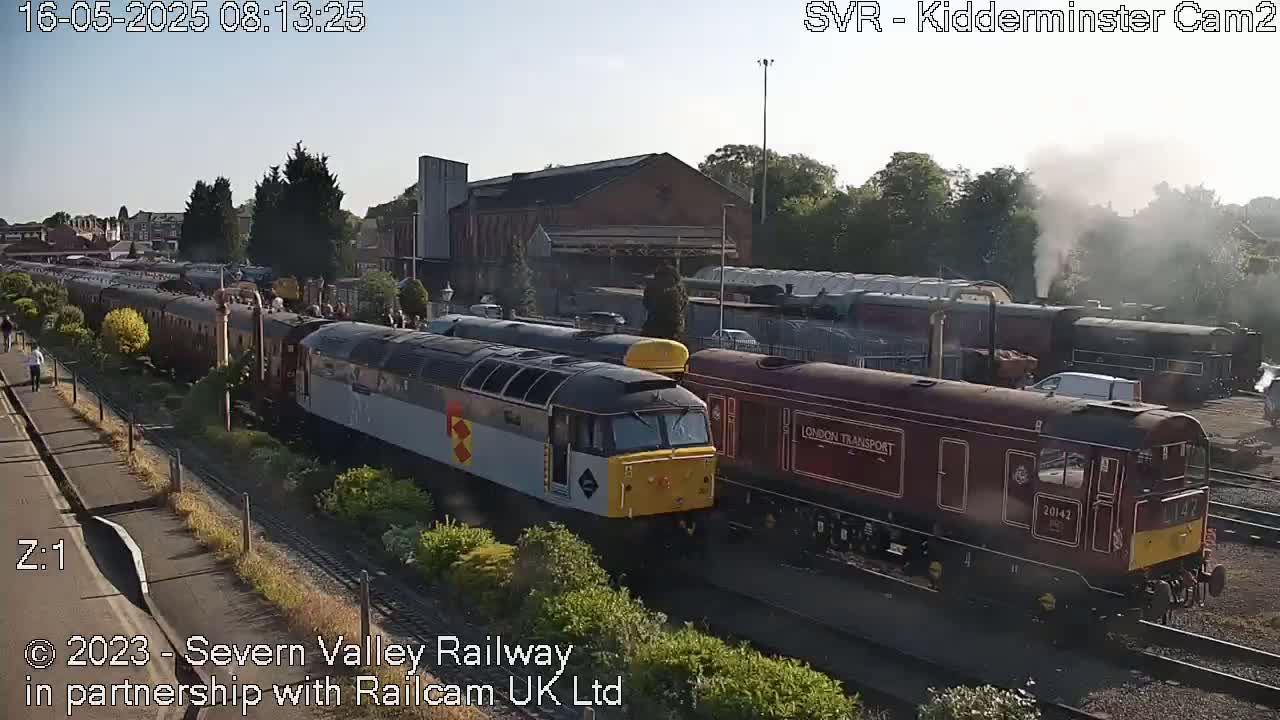 Several diesel and steam locomotives and passenger cars are parked on train tracks on a sunny day.