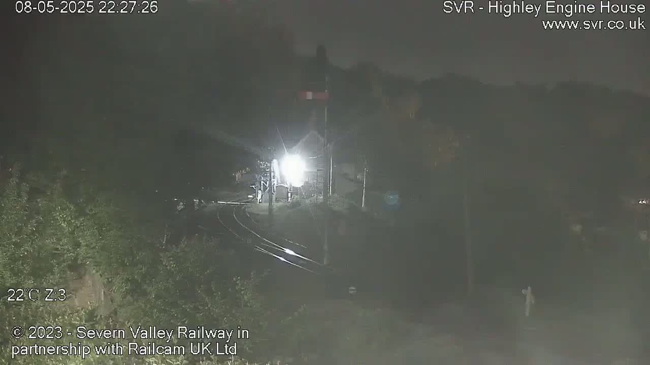 At night, a brightly lit train approaches a dimly lit station surrounded by dark, overgrown vegetation.