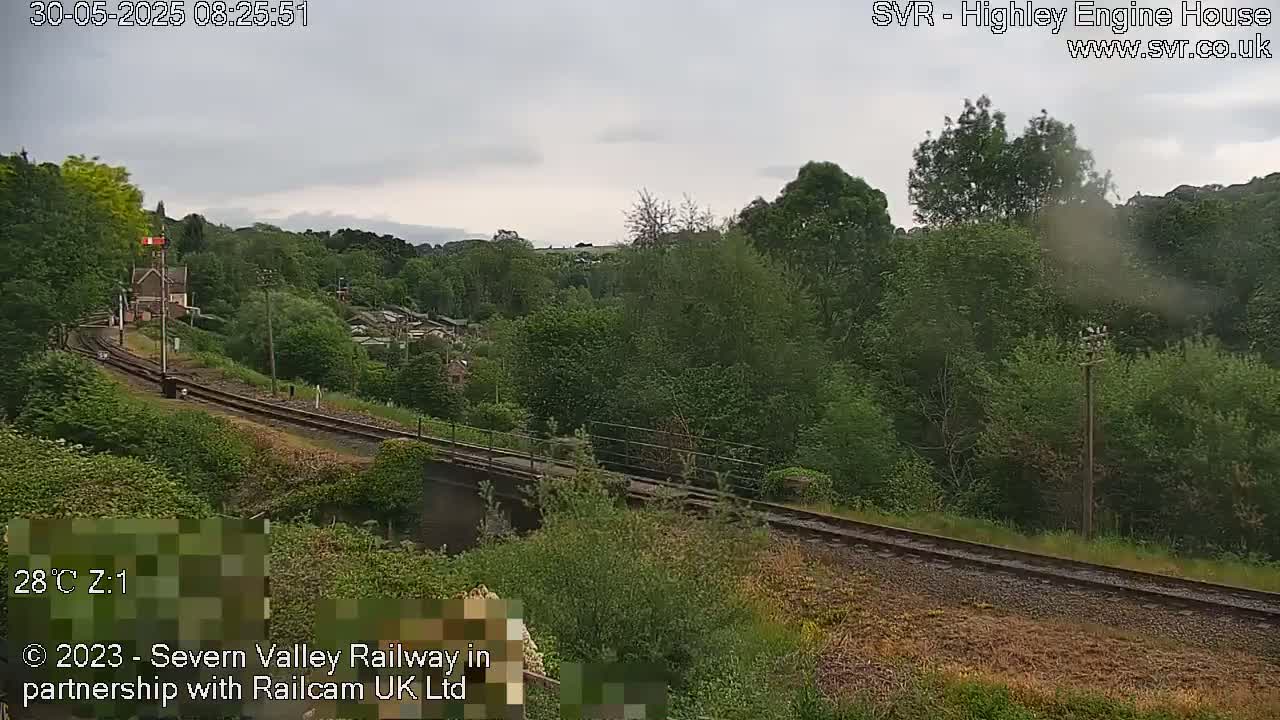 A train travels across a railway bridge on an overcast day, passing through lush green vegetation.