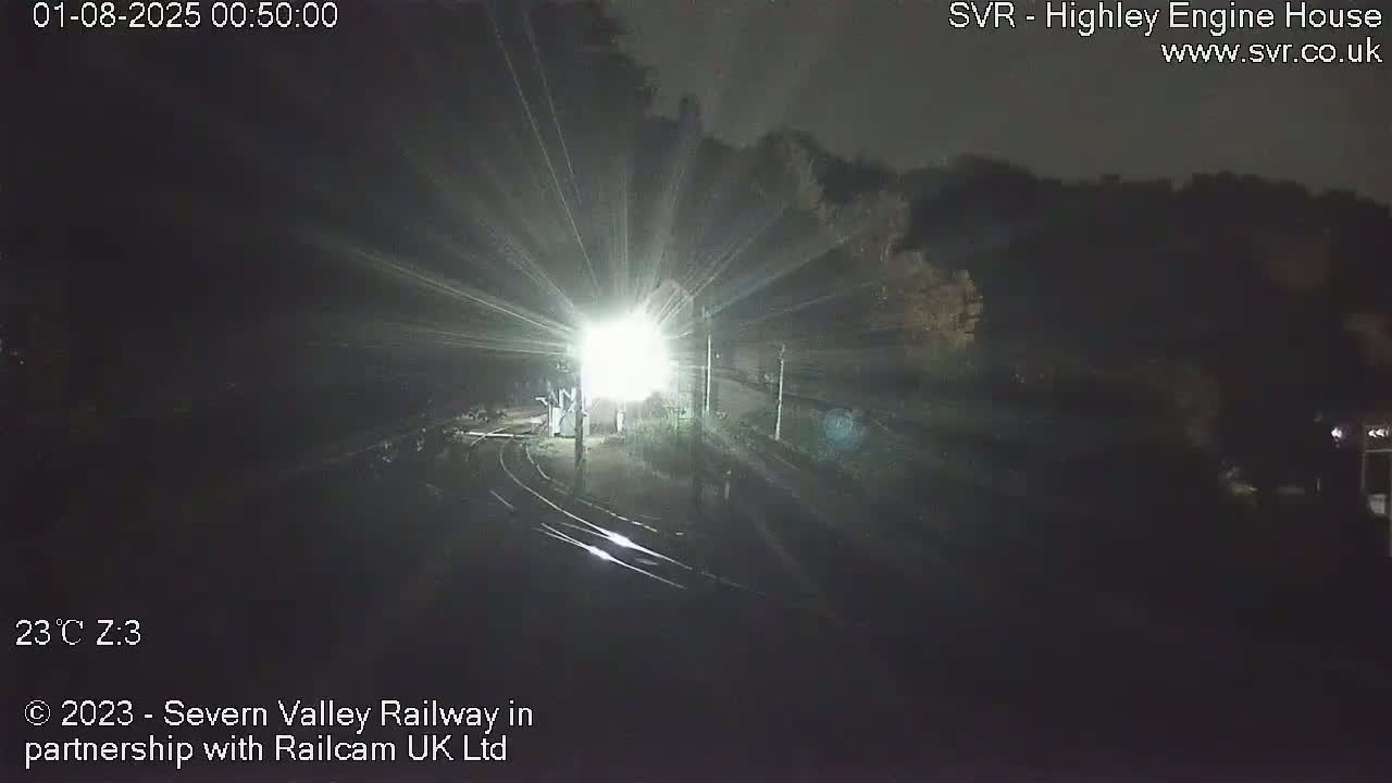 A brightly lit train station at night is shown with train tracks and surrounding dark trees.