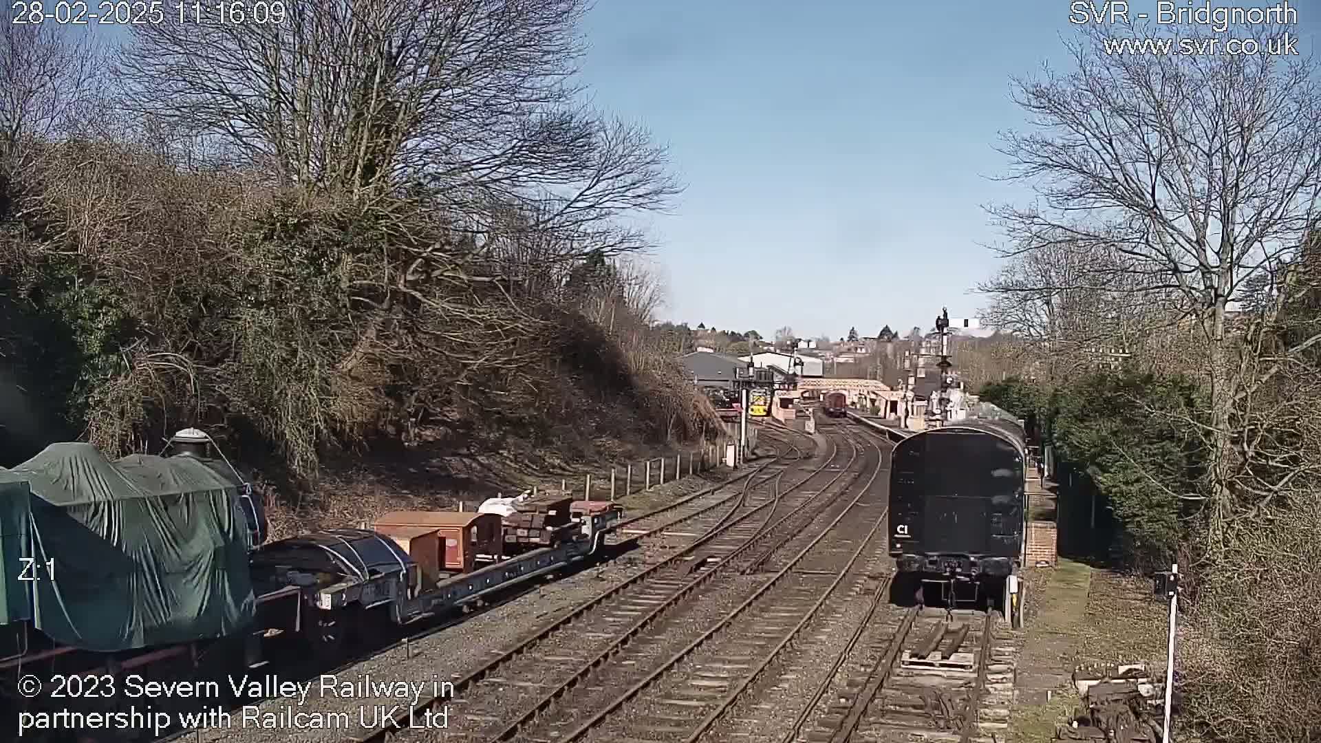 Under a sunny sky, two trains and several railway cars sit on multiple tracks surrounded by leafless trees and shrubs.