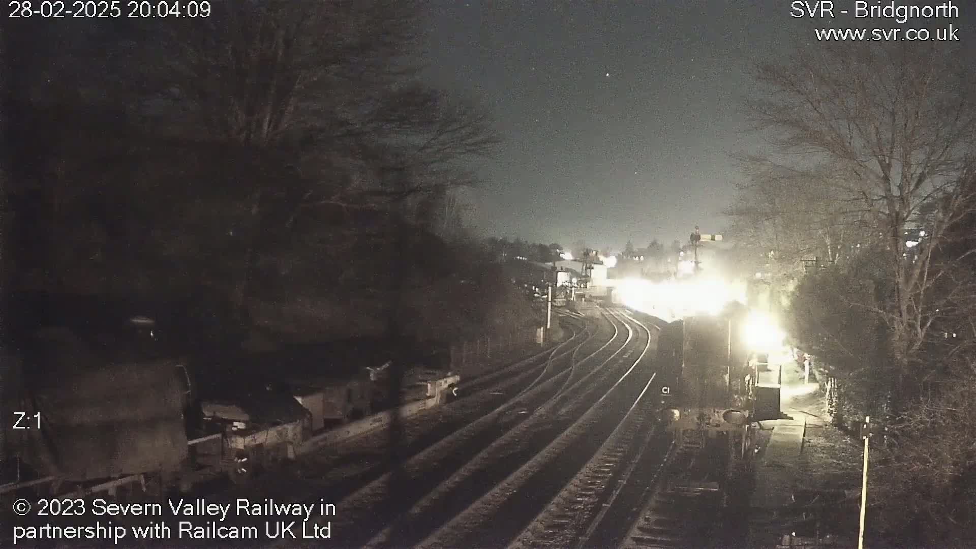A nighttime view of a train station with a lit-up train arriving on multiple tracks, surrounded by dark trees under a clear, starry sky.