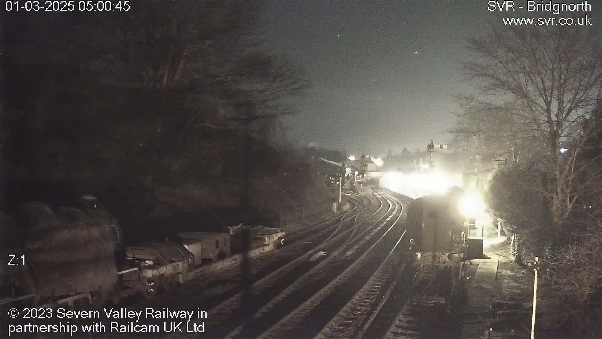 A brightly lit train approaches a railway station at night, surrounded by dark trees under a mostly clear sky.