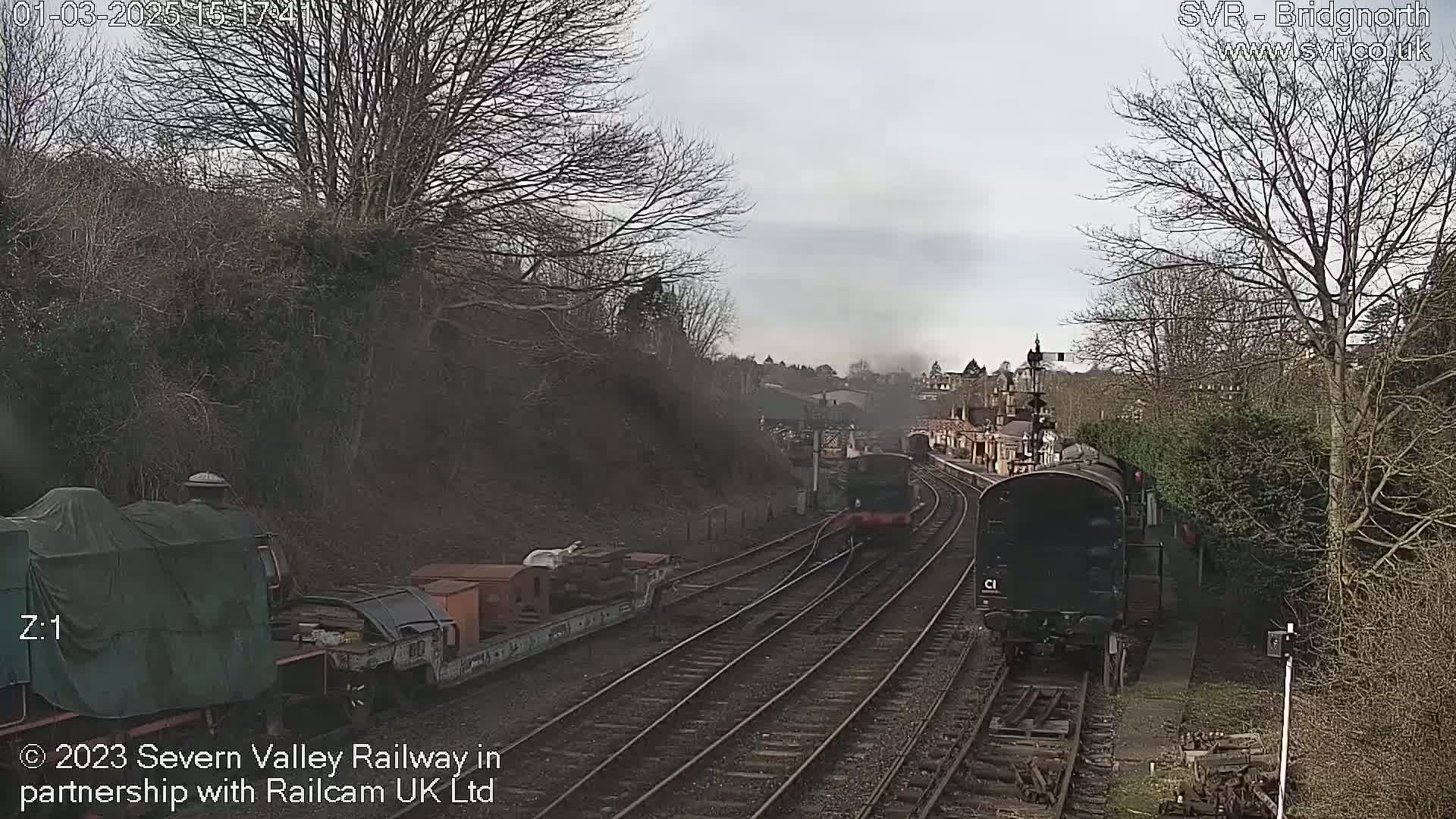 Two locomotives and several rail cars are visible on a railway track, under an overcast sky, with leafless trees lining the sides of the tracks.