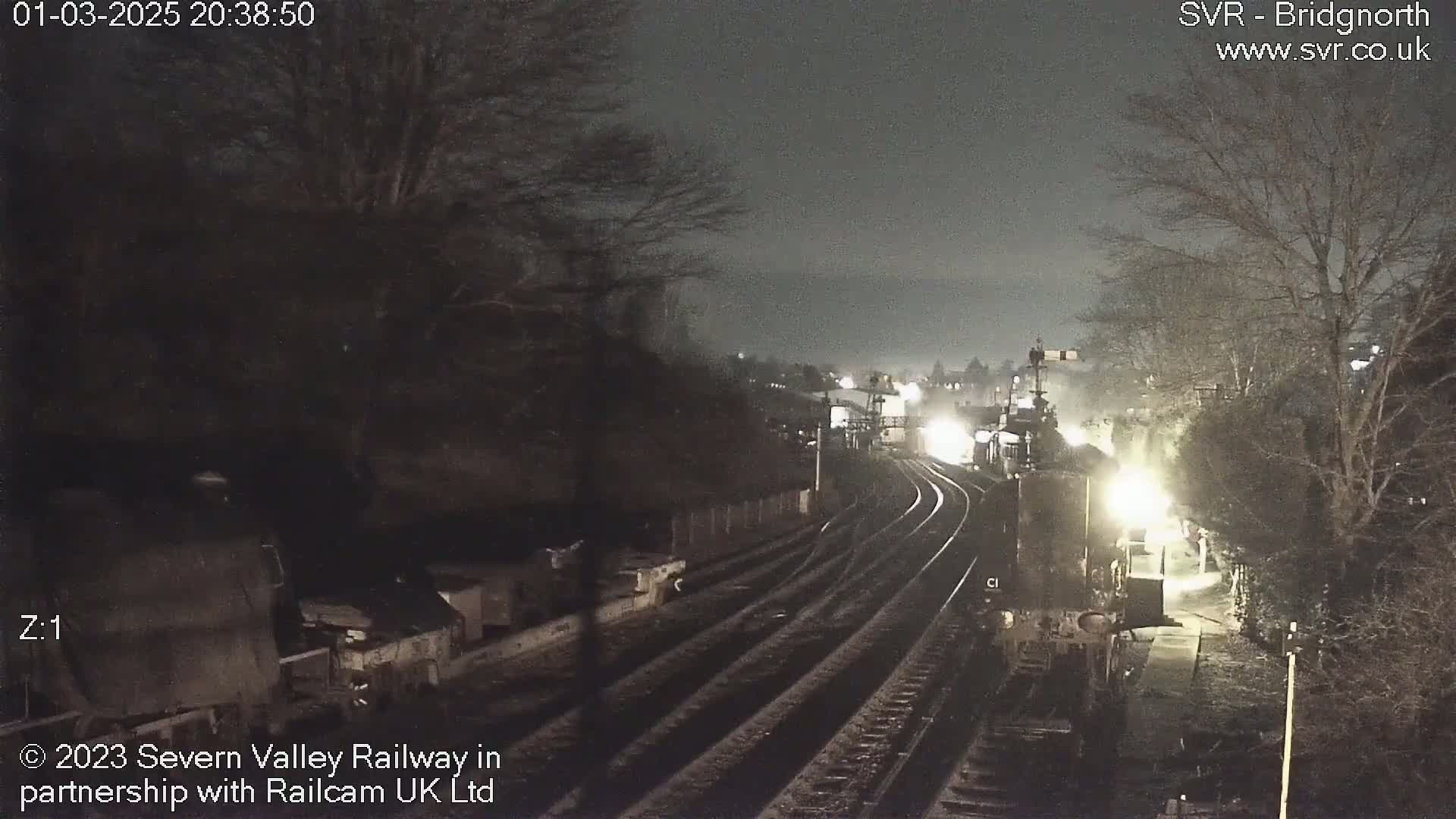 A nighttime view of train tracks branching out from a dimly lit train station, surrounded by bare trees under a dark sky.