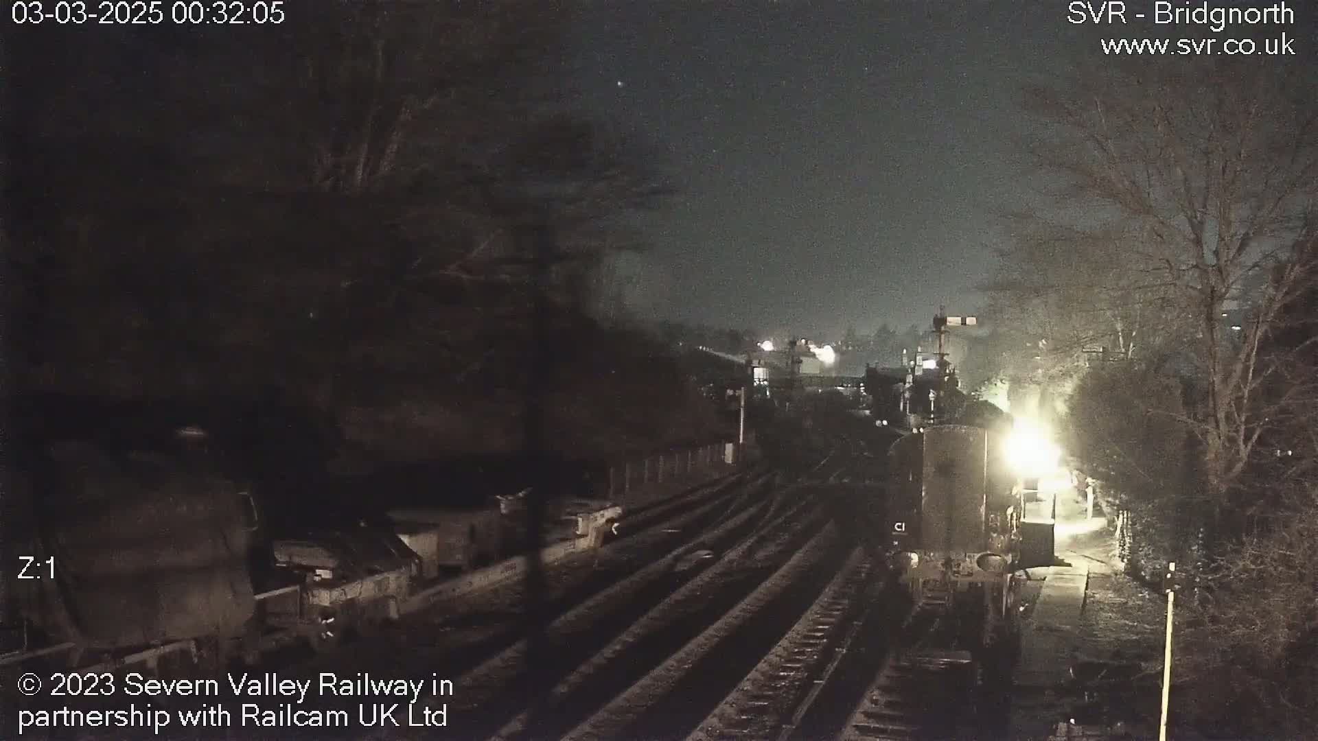 A nighttime view of a train at a station, illuminated by lights, with dark trees and a clear sky.