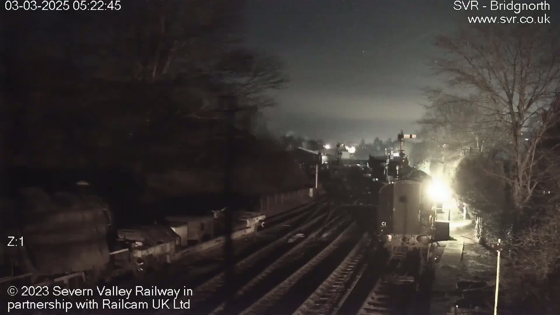 A nighttime view of a train at a station, partially obscured by darkness and trees.