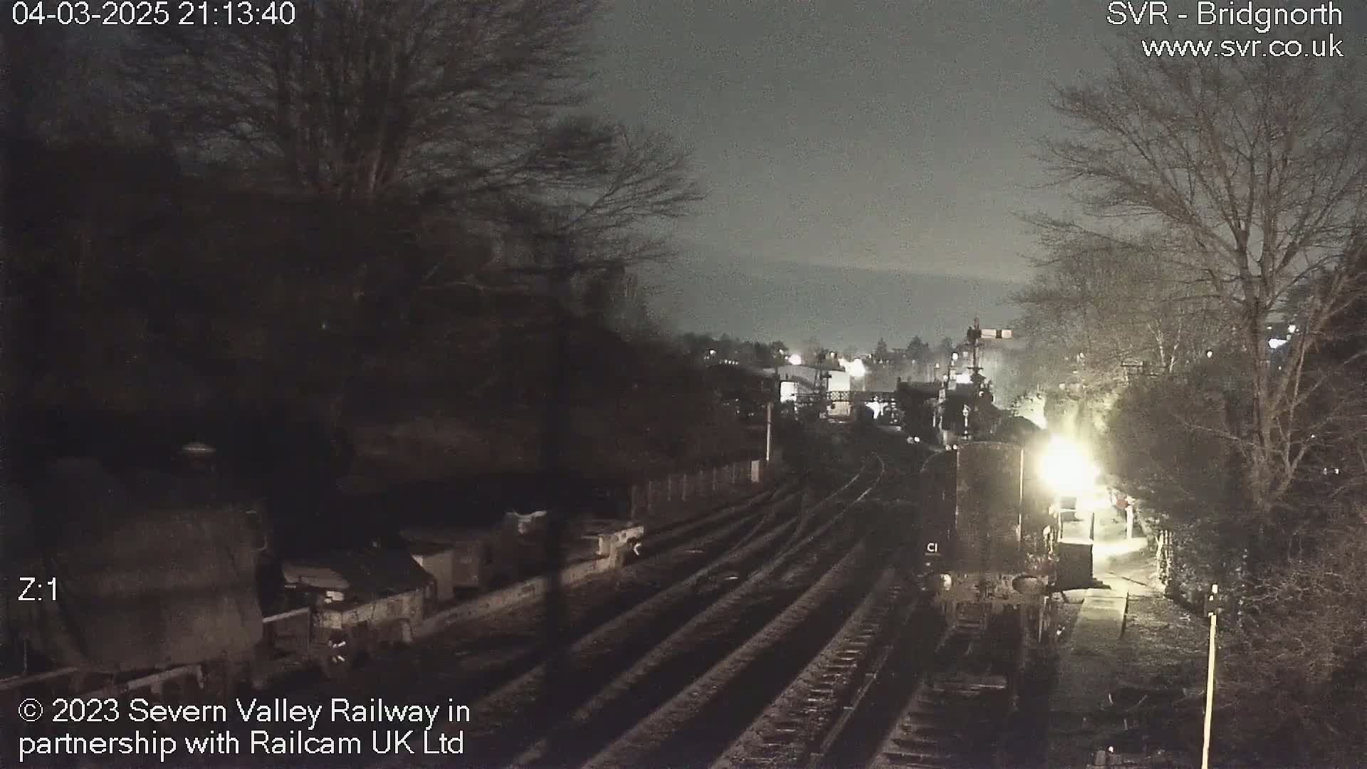 A nighttime view of a train station with multiple train tracks, bare trees, and dimly lit buildings under a dark, overcast sky.