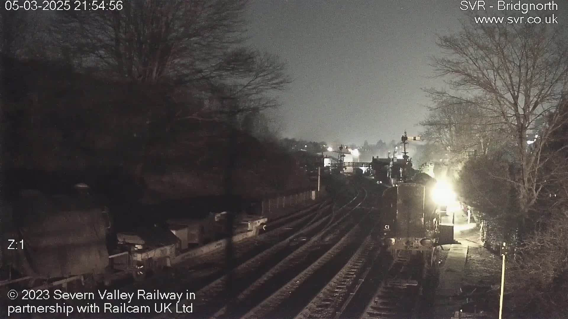 A nighttime view of train tracks at a station, partially obscured by bare trees and a hazy atmosphere.
