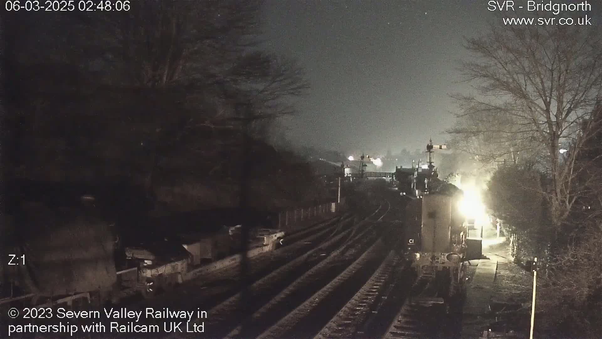 A nighttime view of a train at a dimly lit station, surrounded by dark trees under a hazy sky.