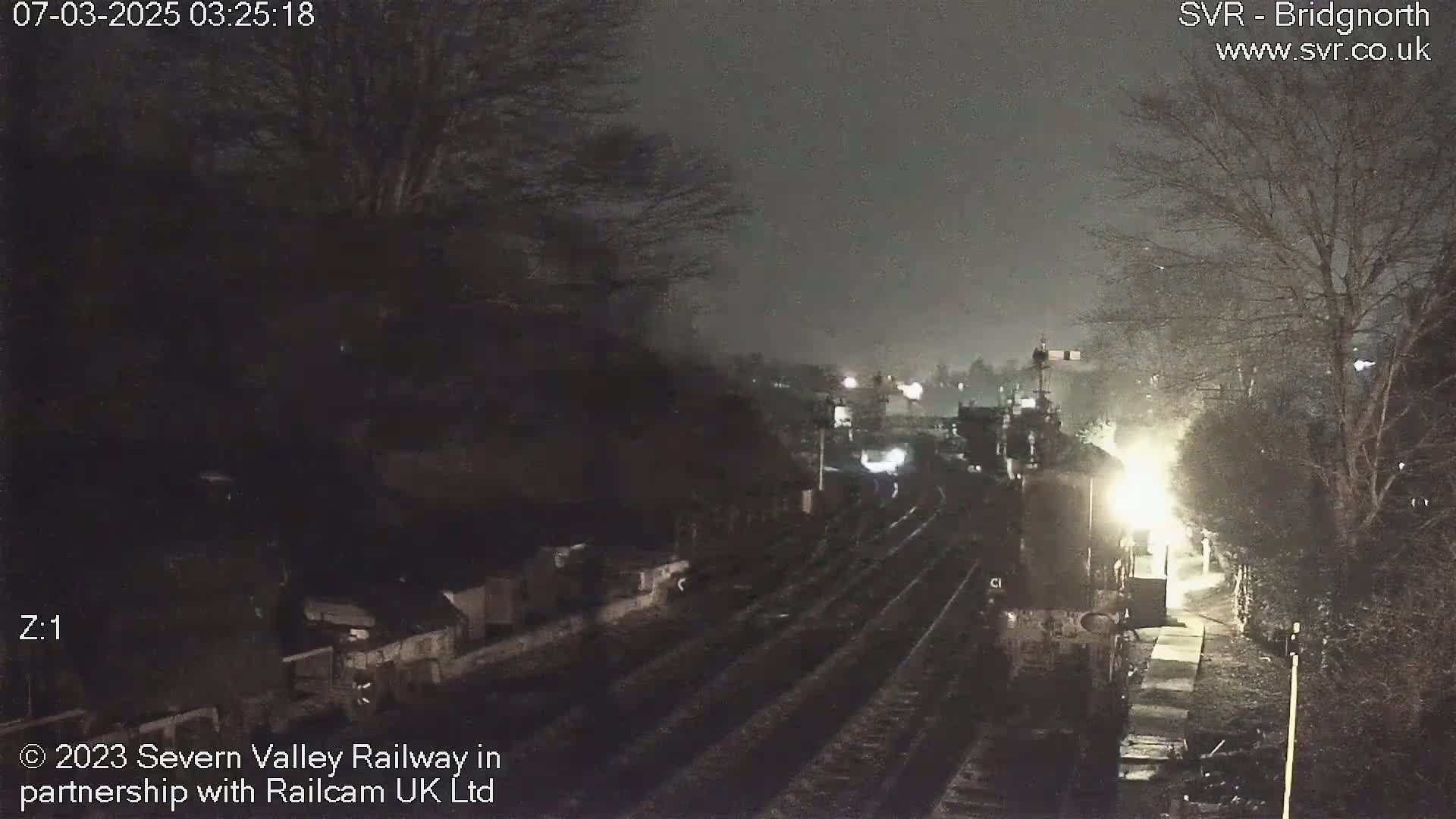 A nighttime view of a train station with snow falling, showing train tracks and dimly lit platforms surrounded by dark trees.