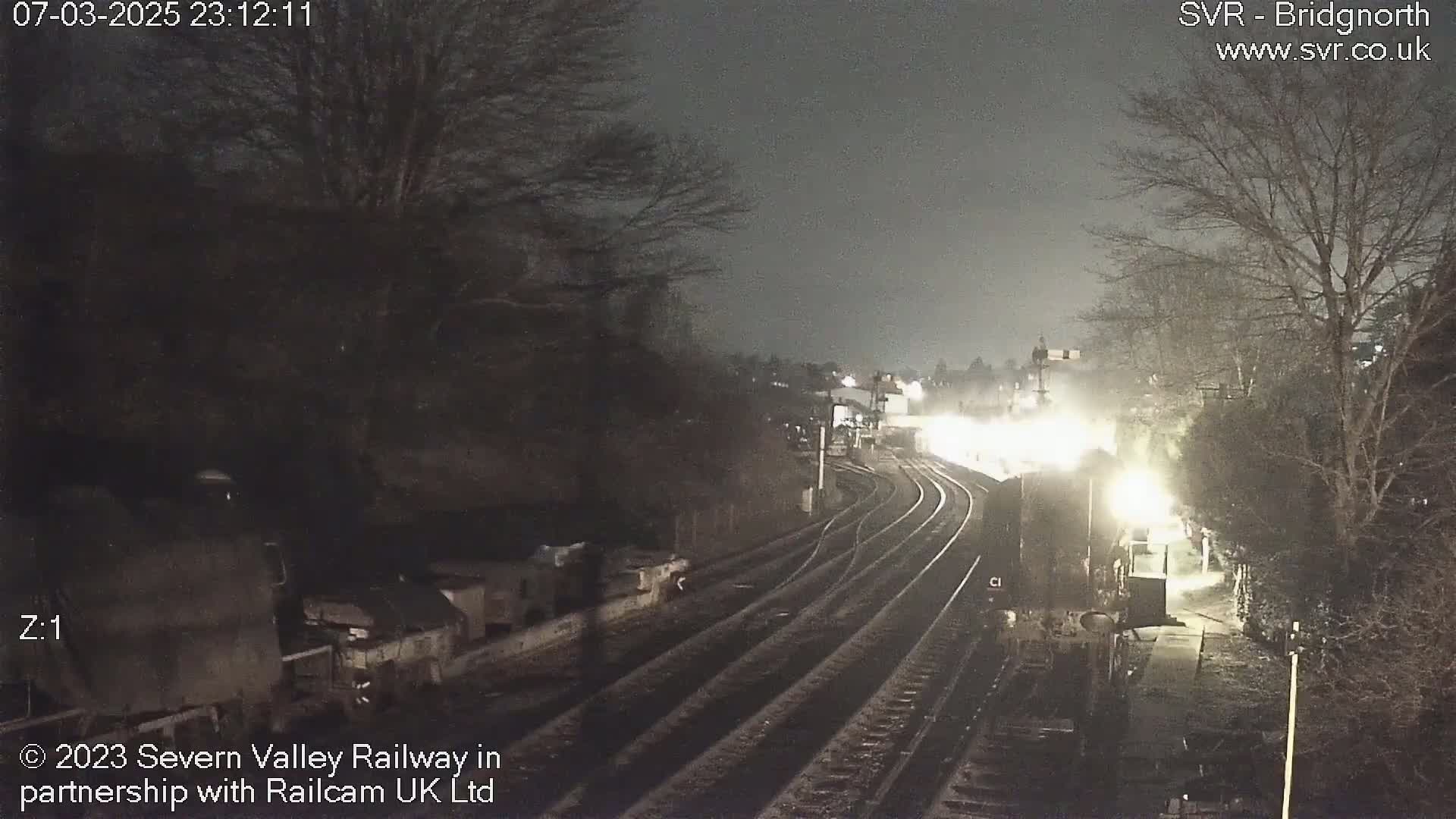 A nighttime, dimly lit view of a train station with multiple train tracks, some bare trees, and a train partially visible in the distance.