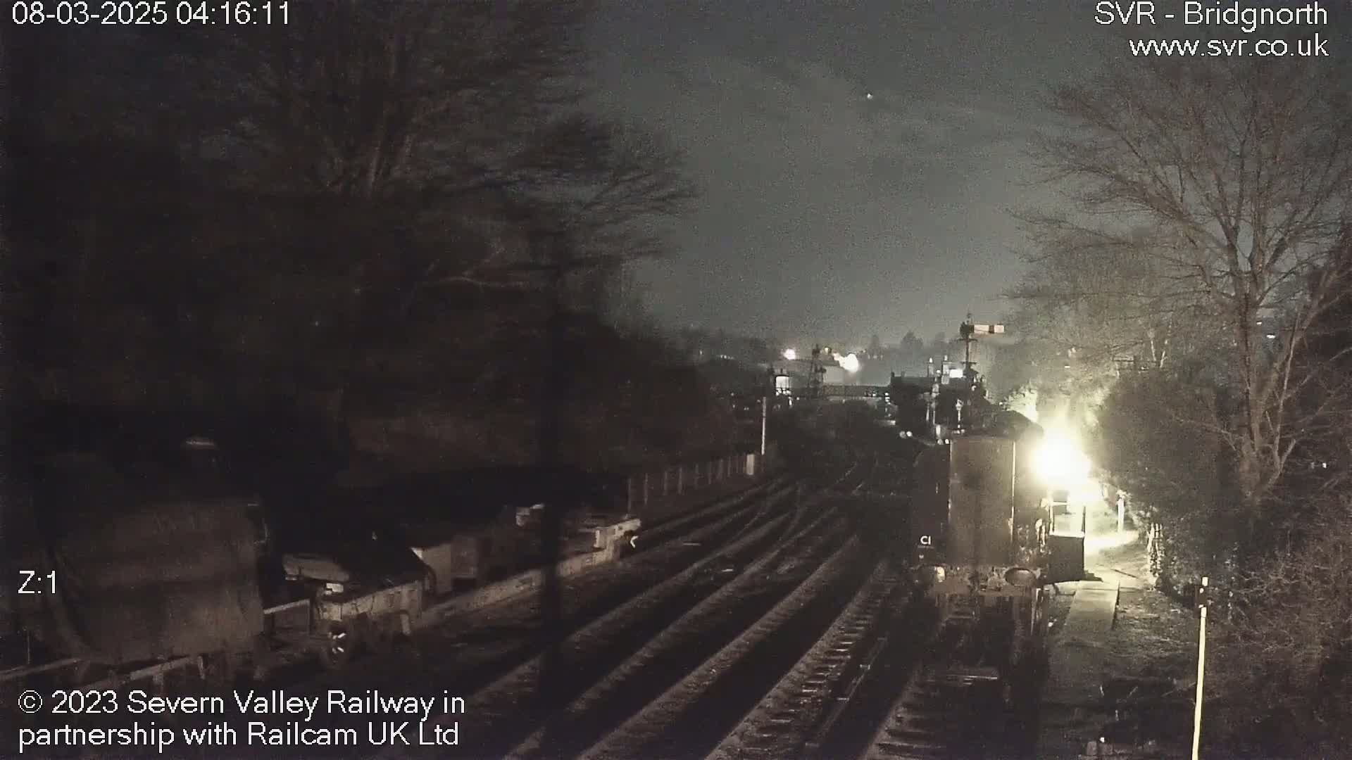 A nighttime view of a train station with several train tracks,  surrounded by dark trees under a dark, cloudy sky.