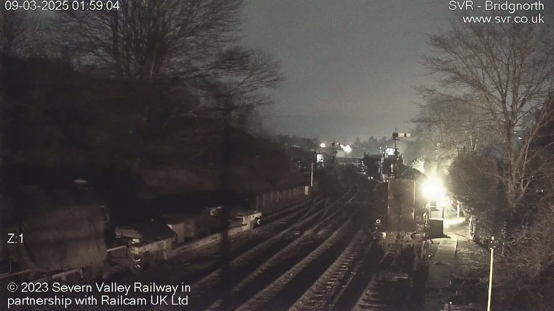 A nighttime view of a dimly lit train station with multiple train tracks, surrounded by bare trees under a dark, overcast sky.