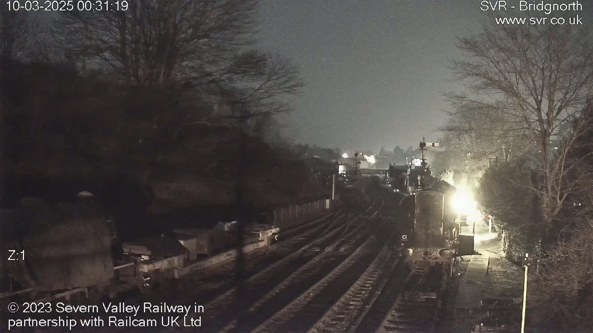 A nighttime view of a train station with railway tracks, a train partially visible, and bare trees under a dark, overcast sky.