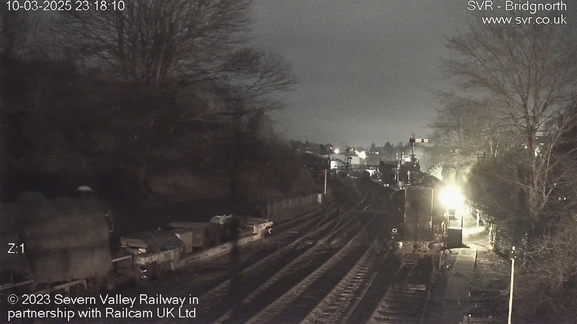 A nighttime view of a train on a track, partially obscured by trees and darkness.