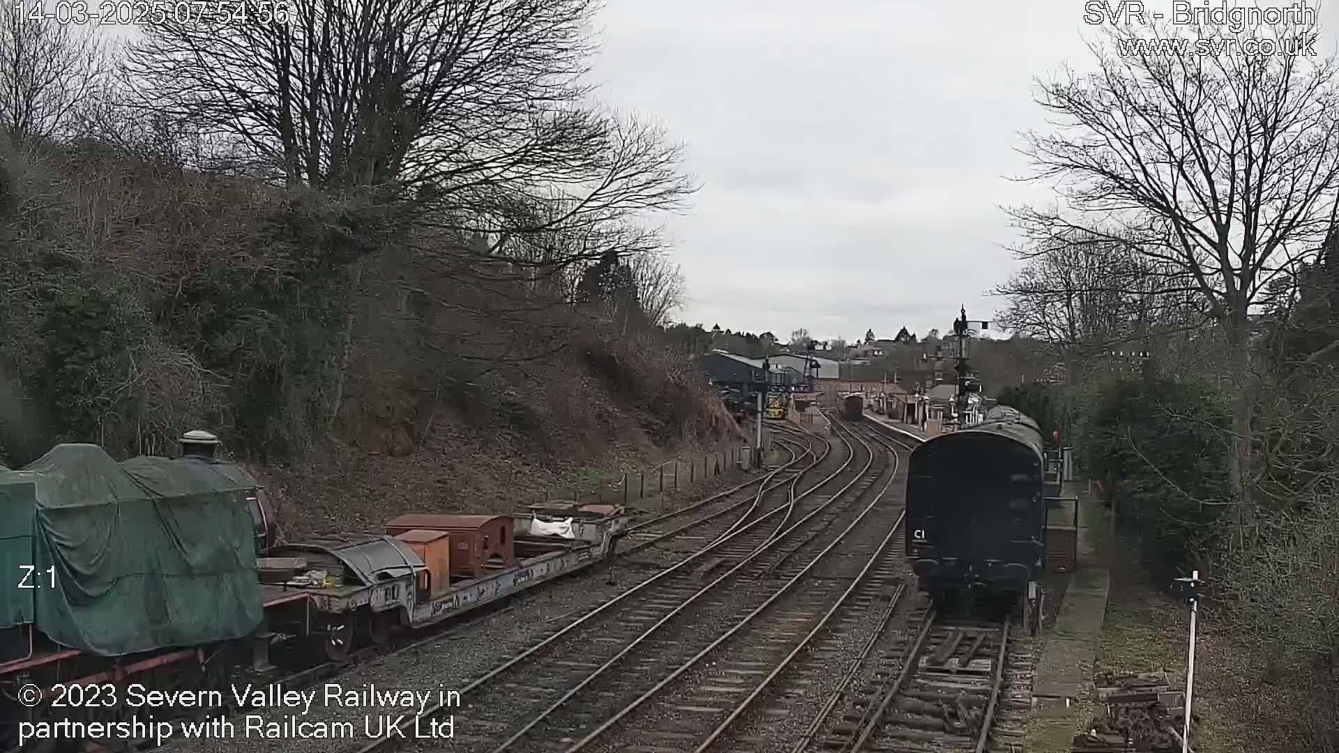 A train on a railway track passes by a covered locomotive and freight cars under an overcast sky.