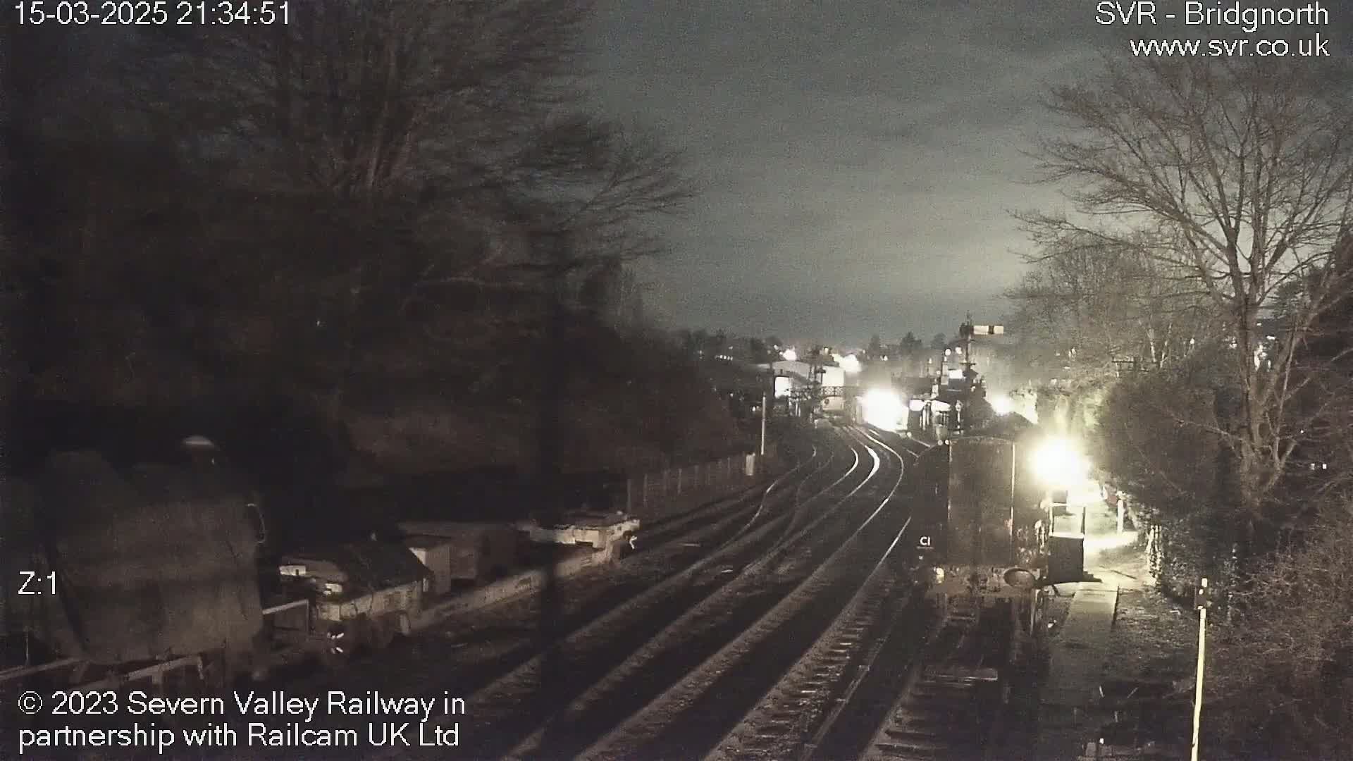 A nighttime view of a train station with several train cars and tracks visible under a dark, overcast sky.