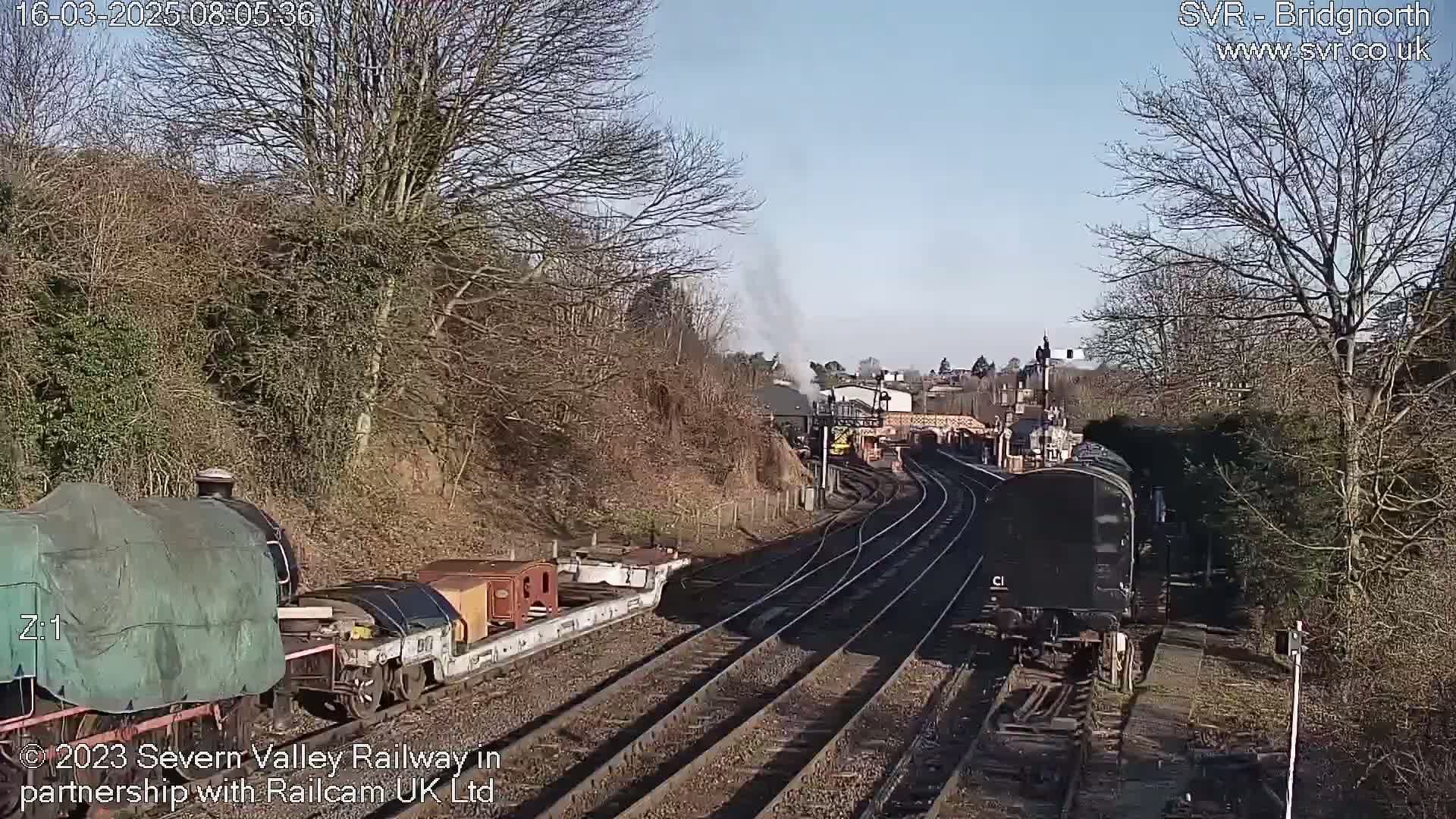 A steam train is visible in the distance on a sunny day, alongside a railway with several rail cars and flatbeds, some covered, parked along the tracks near bare trees and shrubbery.