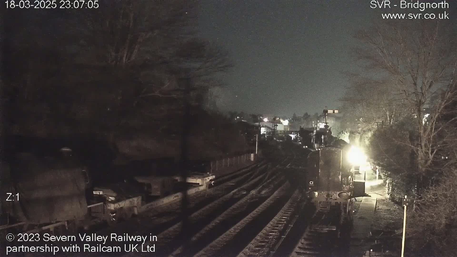 A nighttime view of a train on railway tracks, partially obscured by darkness and trees.