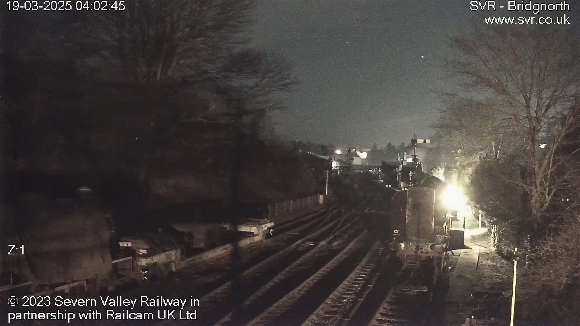 A nighttime view of a train on railway tracks, partially obscured by trees and darkness.