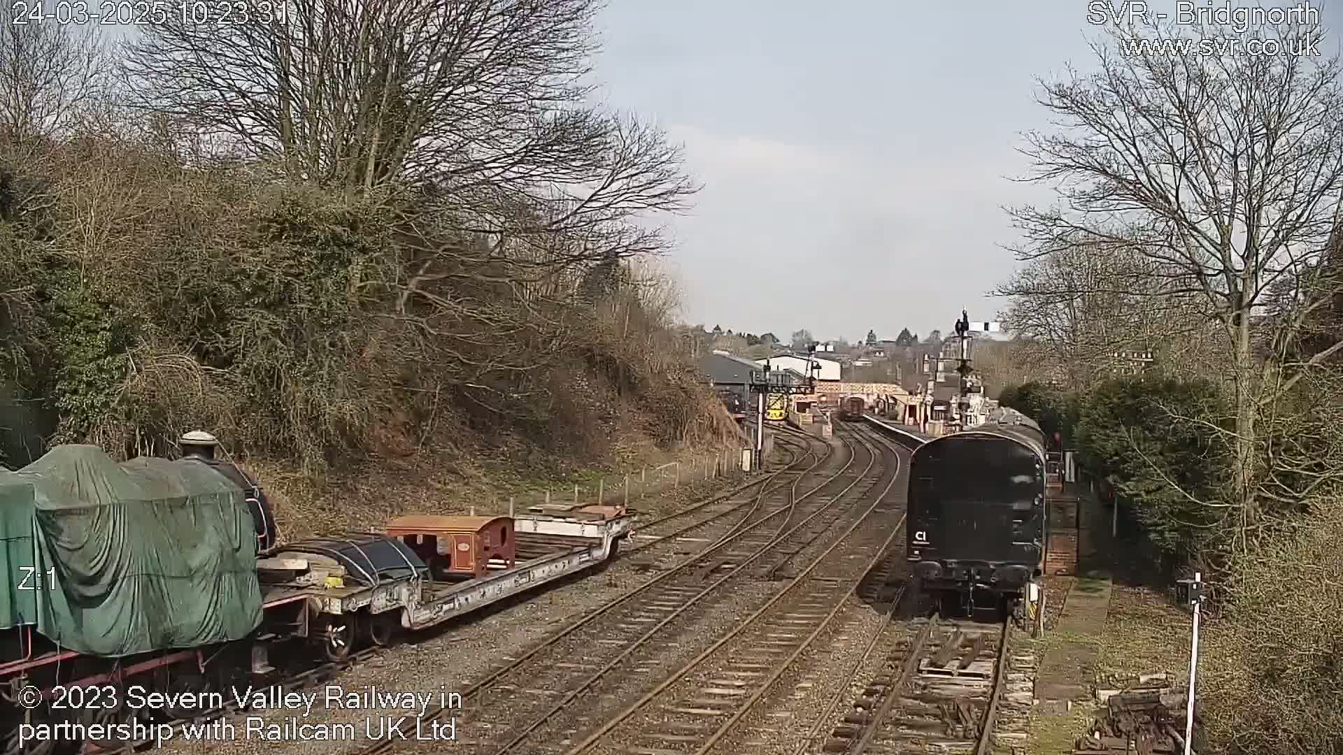 Two trains are visible on a railway track on a partly sunny day, one approaching and one departing a station surrounded by bare trees and shrubs.
