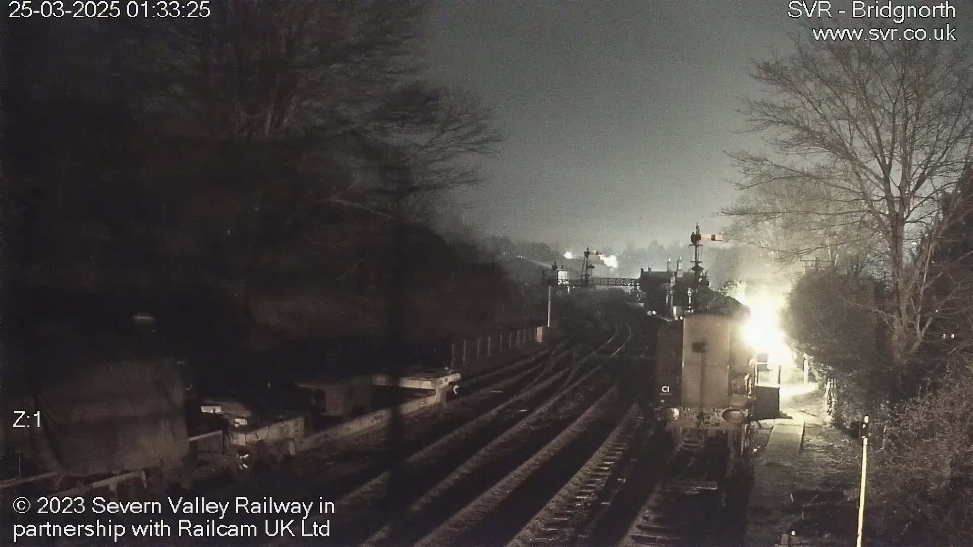 A nighttime view of a dimly lit train station with multiple tracks, surrounded by bare trees under a dark, overcast sky.