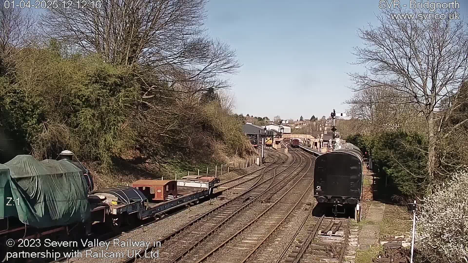 A sunny day at a train station shows multiple train cars on several tracks, some covered and others uncovered, with bare trees and bushes surrounding the railway.